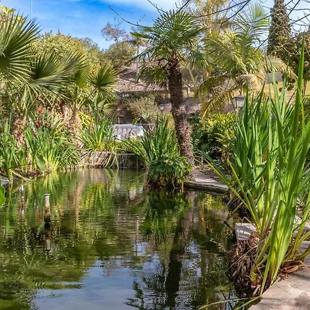 Palmas 8b Oasis Lejlighed *