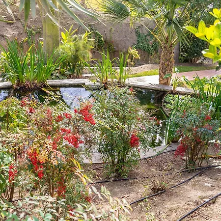 Lejlighed Palmas 8b Oasis