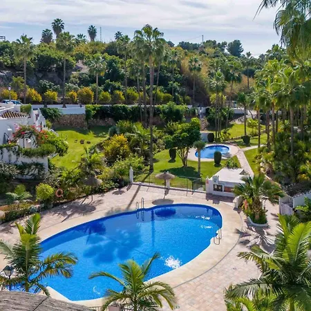 Palmas 8b Oasis * Нерха