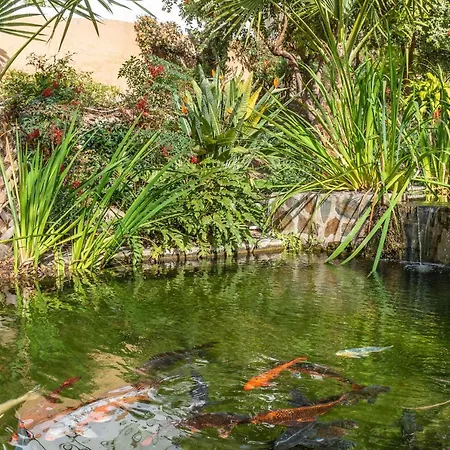 Palmas 8b Oasis Nerja