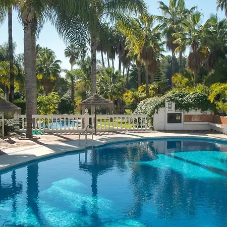 Palmas 8b Oasis *