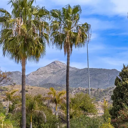 Апартаменти Palmas 8b Oasis *