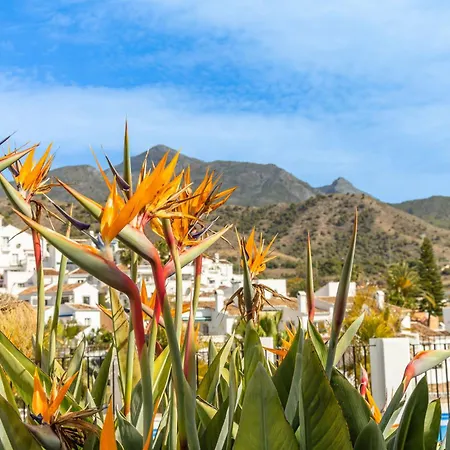 Palmas 8b Oasis * Nerja