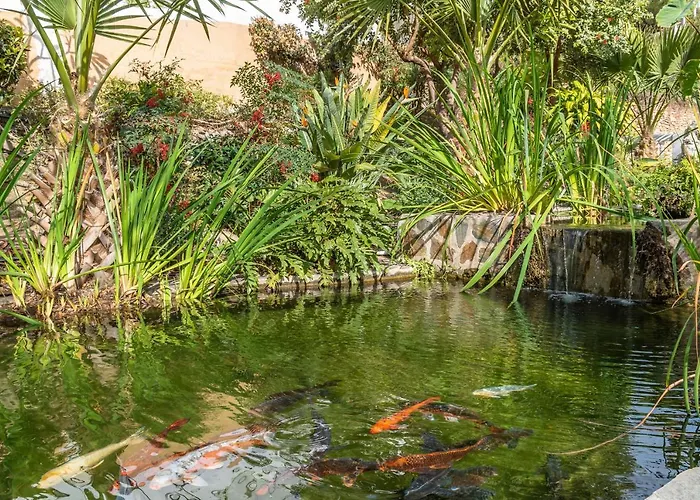 Palmas 8b Oasis Nerja