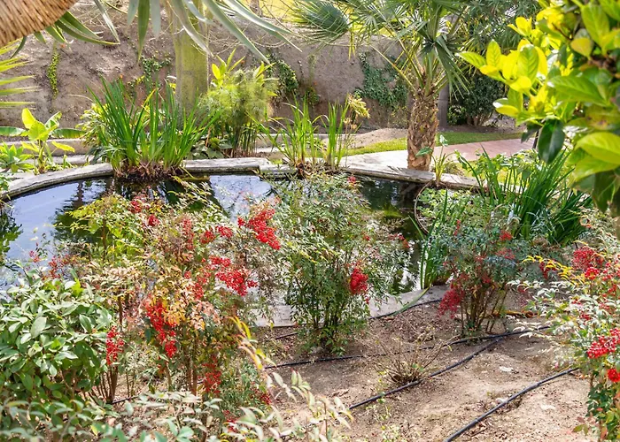 Appartamento Palmas 8b Oasis