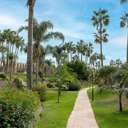 Palmas 8b Oasis נרחה